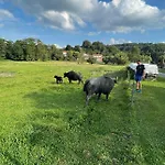 Glamping - Stylová Maringotka V Srdci Ladova Kraje, Poblíž Hlavního Města Prahy Stribrna Skalice