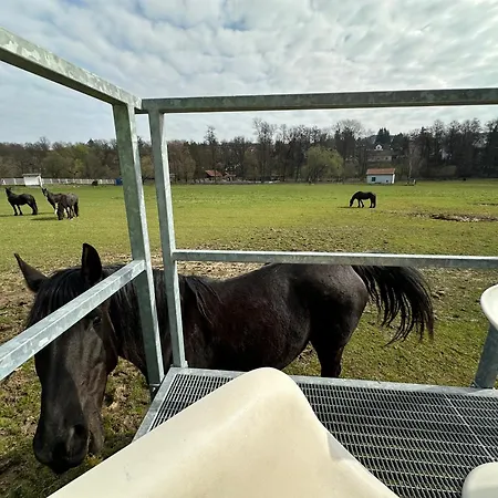 خيمة فخمة Glamping - Stylova Maringotka V Srdci Ladova Kraje, Pobliz Hlavniho Mesta Prahy Stribrna Skalice